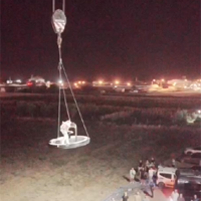 Rapçi Çakal, havalı tüfekle rastgele açılan ateş sonucu yaralandı (3)