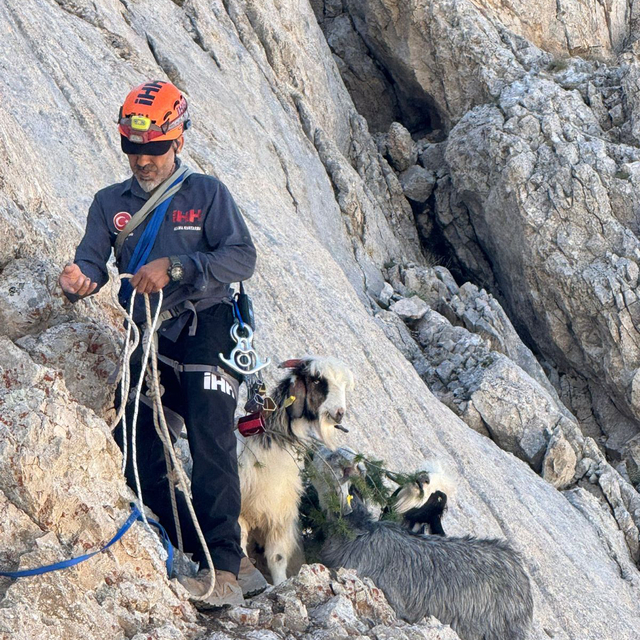 Dağlık alanda mahsur kalan 5 keçi kurtarıldı