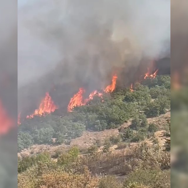 Malatya'da orman yangını