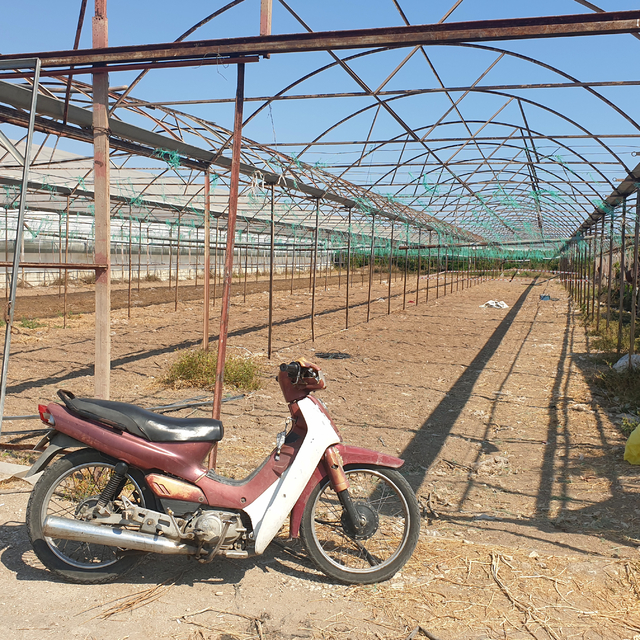 Pompalı tüfekle husumetlisinin serasını bastı; 2 ölü