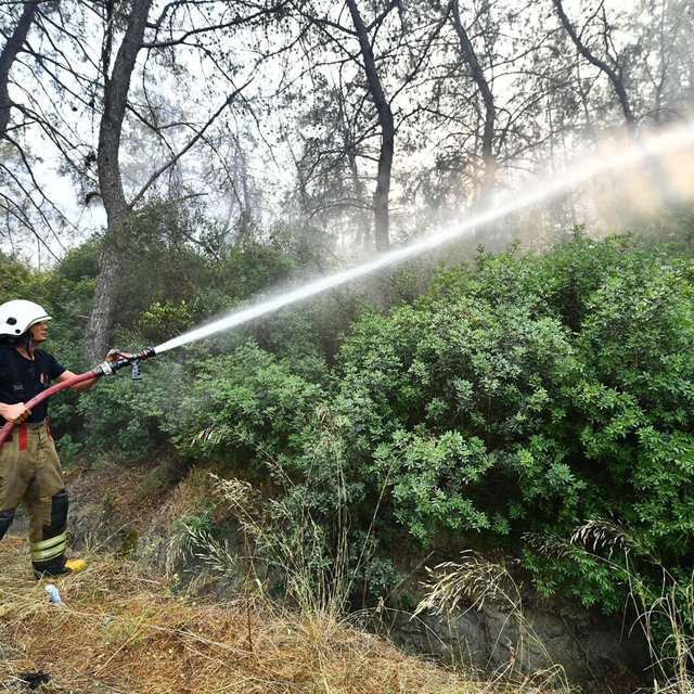 İzmir'de orman yangını (3)