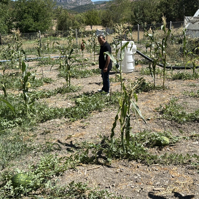 Karabük'te karpuz hasadı etkinliği düzenlendi