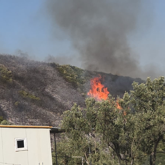 Bursa'da orman yangını kontrol altında