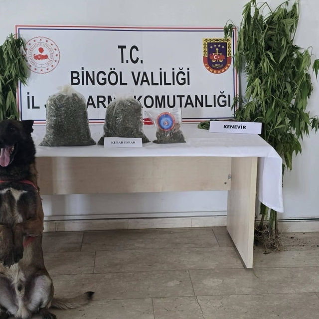 Bingöl'de 9 kilo 38 gram uyuşturucu ve 279 kök Hint keneviri ele geçirildi