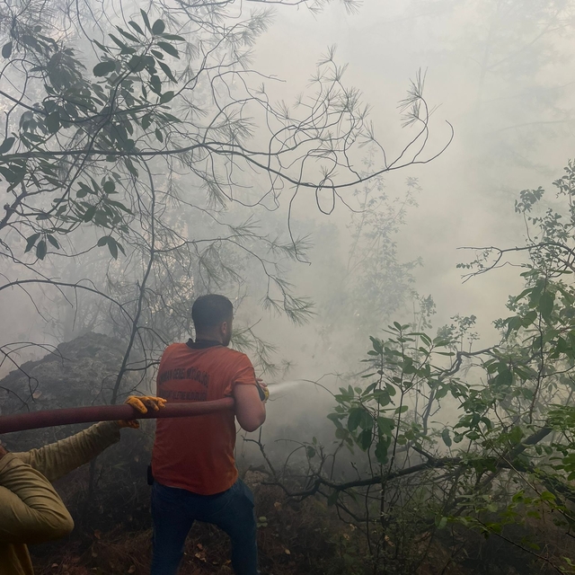 Antalya'da çıkan orman yangını kontrol altına alındı