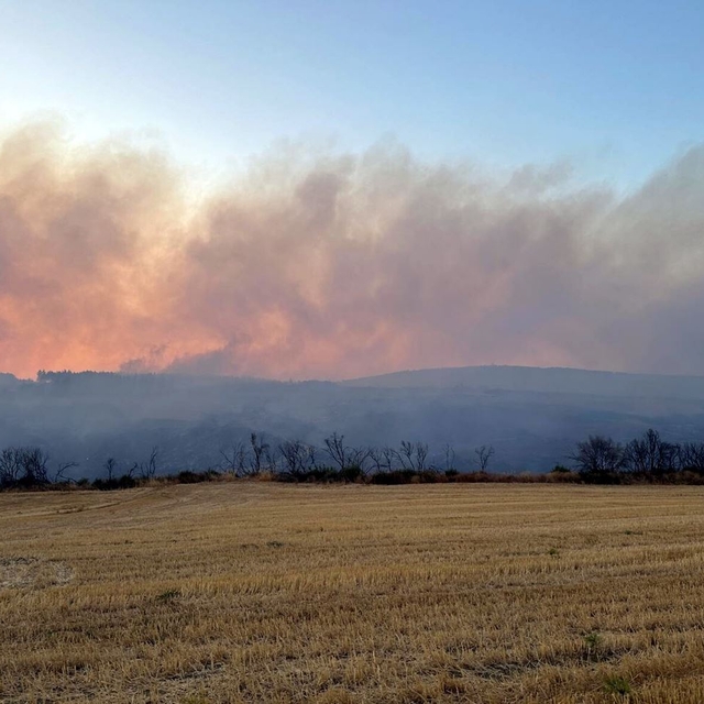Çanakkale'de orman yangını (3)