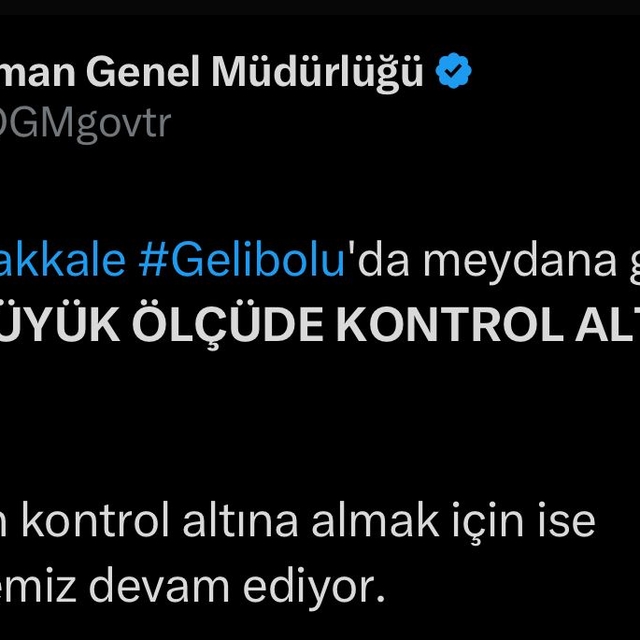 Çanakkale'de orman yangını (4)