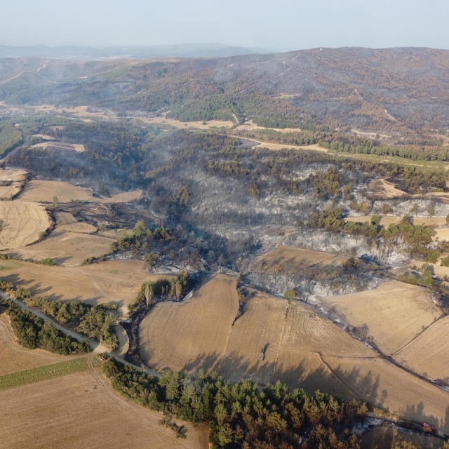 Çanakkale'de orman yangını kontrol altında; yanan alanlar dronla görüntülen...