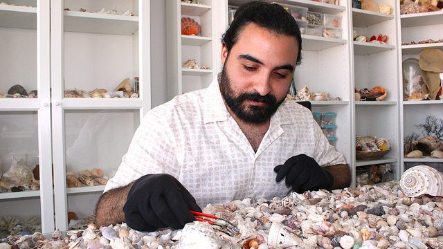 Topladığı 10 milyon deniz kabuğu ile koleksiyon oluşturdu