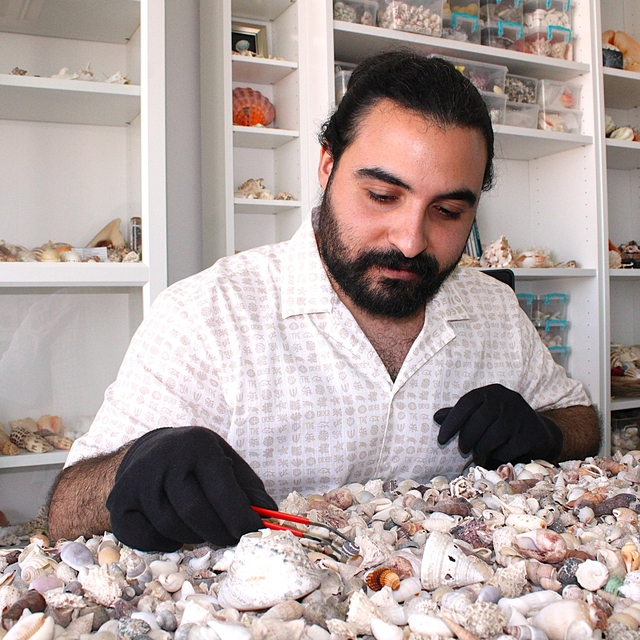 Topladığı 10 milyon deniz kabuğu ile koleksiyon oluşturdu