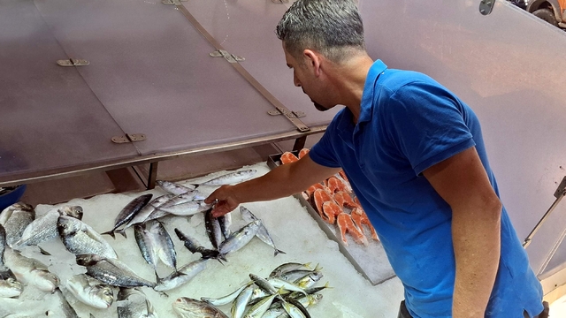 Sinop'ta palamutlar tanesi 350 liradan tezgahlarda satışa sunuldu