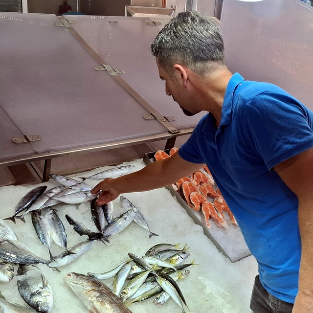 Sinop'ta palamutlar tanesi 350 liradan tezgahlarda satışa sunuldu