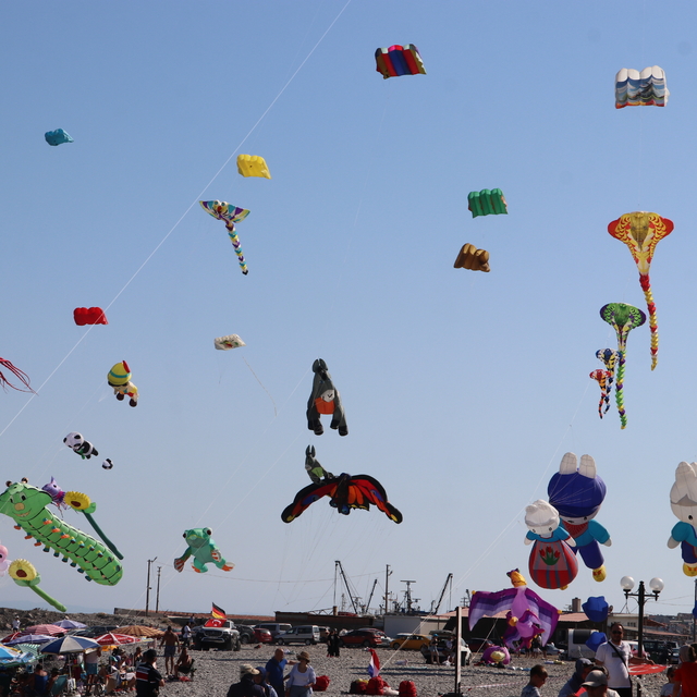 Tasarladığı uçurtmalarla yurt dışında Mardin'in kültürel öğelerini tanıtıyo...