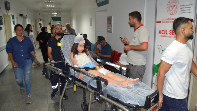 Düğüne giden çocuğu köpek ısırdı