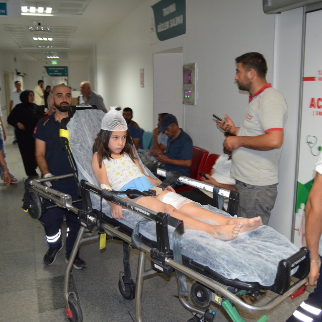 Düğüne giden çocuğu köpek ısırdı