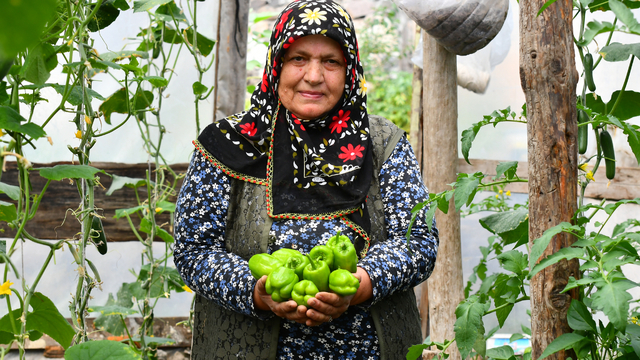 Kars'ta bahçesinde kurduğu serada organik sebze yetiştiriyor