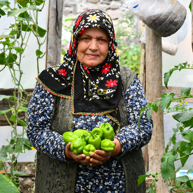 Kars'ta bahçesinde kurduğu serada organik sebze yetiştiriyor