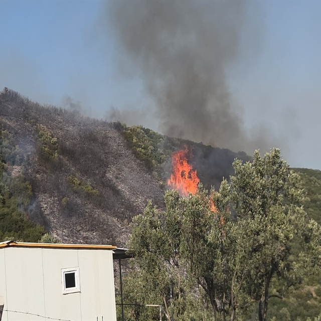 Bursa'da orman yangını soruşturmasında 1 gözaltı