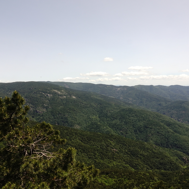 Türkiye'nin 14 masifinden biri olan Kazdağları yüzlerce bitki çeşidine ev s...