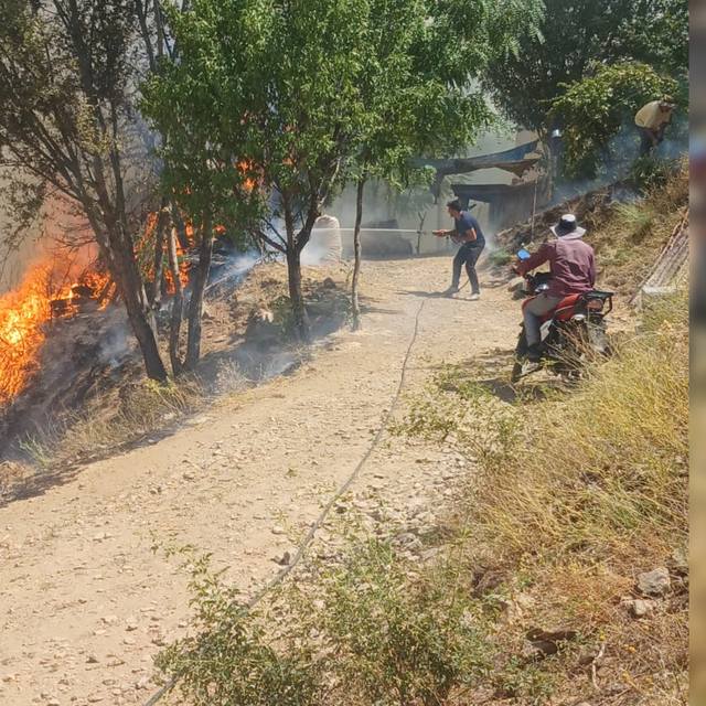 Malatya'da orman yangını