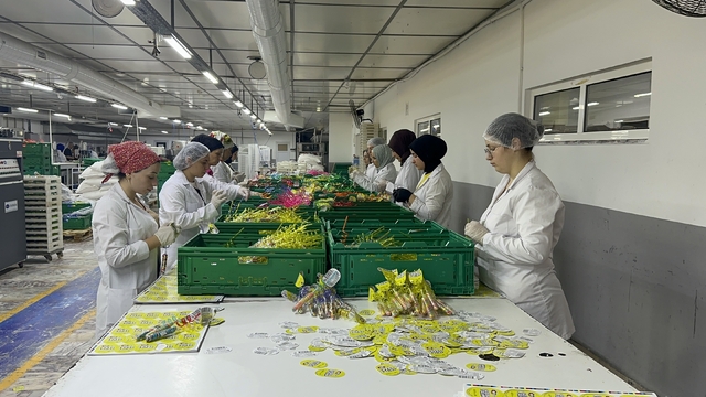 Yalova'da bir işletme ürünlerine de karekod basıp, örnek oldu