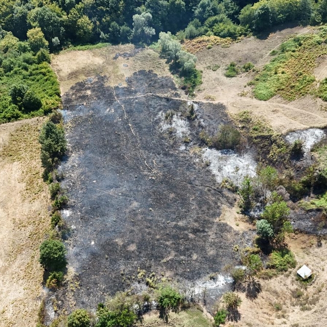 Samsun'da tarlada çıkan örtü yangını itfaiye ekiplerince söndürüldü