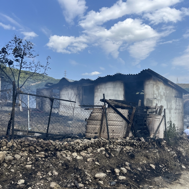 Kocaeli'deki ot yangını söndürüldü (3)