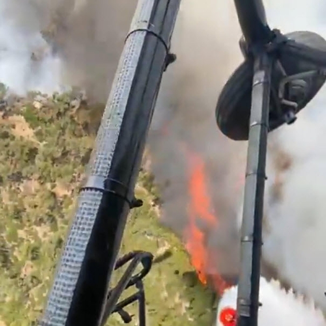 Denizli'de orman yangını