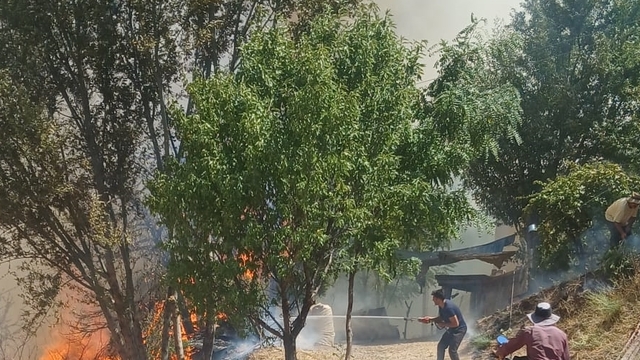 Malatya'da çıkan orman yangınına müdahale ediliyor