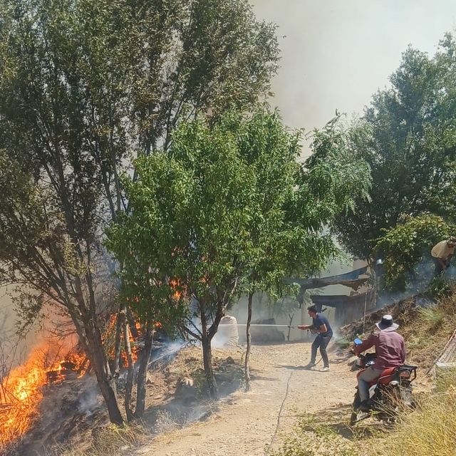 Malatya'da çıkan orman yangınına müdahale ediliyor