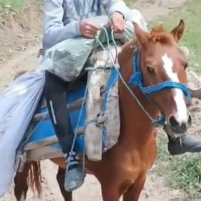 Av tüfeğiyle oynarken kendini vurdu; hayatını kaybetti