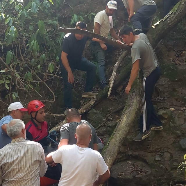 Fındık toplarken uçurumdan yuvarlanıp öldü
