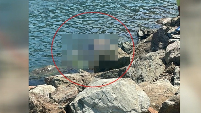 Yalova'da denize giren eski futbolcu Metin Baş boğuldu