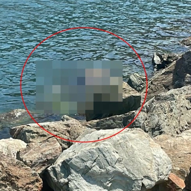 Yalova'da denize giren eski futbolcu Metin Baş boğuldu