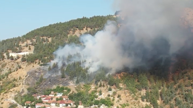 Tokat'ta orman yangını