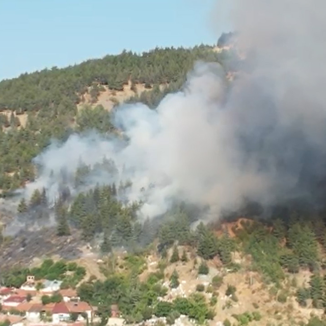Tokat'ta orman yangını