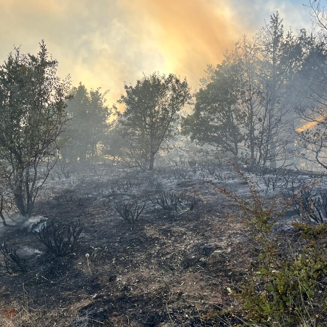 Ordu'da çıkan orman yangını söndürüldü