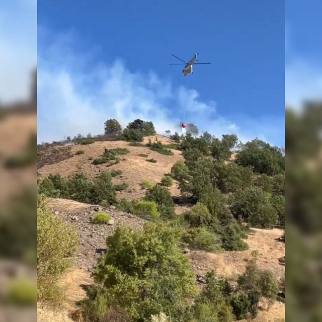 Malatya'da orman yangını (2)