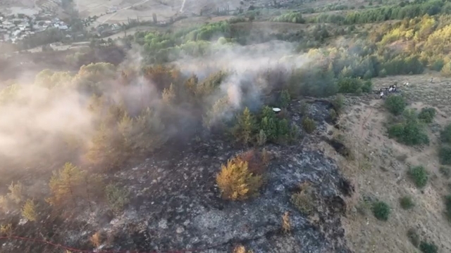 Ordu'da orman yangın 4 saatte söndürüldü