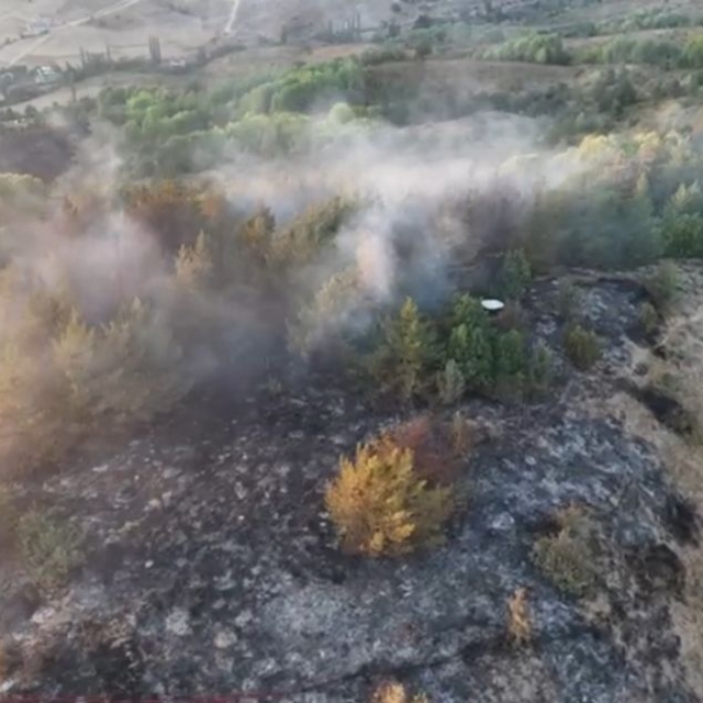 Ordu'da orman yangın 4 saatte söndürüldü