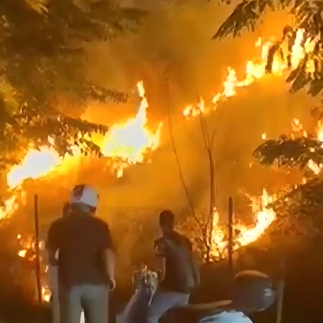 Meşaleli kutlama otluk alanı yaktı