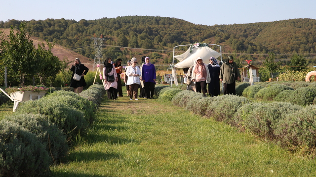 Sakarya'da kanser hastası kadınlar lavanta bahçesinde moral depoladı