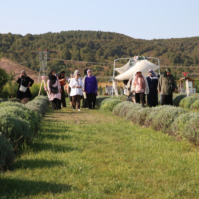 Sakarya'da kanser hastası kadınlar lavanta bahçesinde moral depoladı