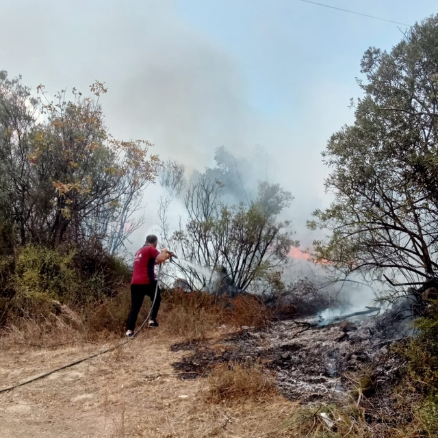 Bursa'da zeytinlikte çıkan yangın söndürüldü