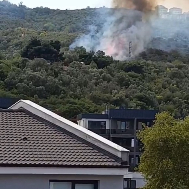 Bursa'da zeytinlikte çıkan yangın 1 saatte kontrol altına alındı