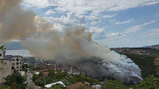 Kocaeli'de ağaçlık ve makilik alanda çıkan yangına müdahale ediliyor
