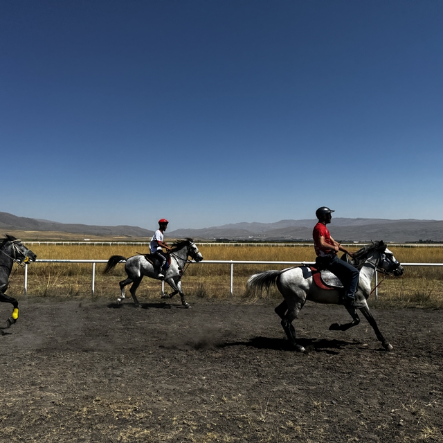 Erzurum'da "3. Geleneksel Rahvan At Yarışları" düzenlendi