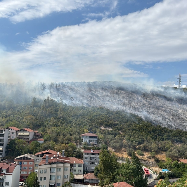 Kocaeli'de orman yangını(2)