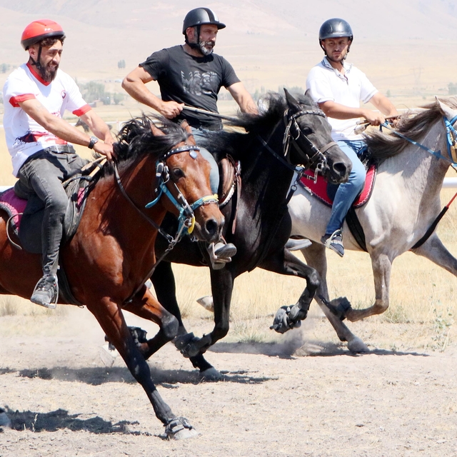 Erzurum'da 'rahvan at'lar tozu dumana kattı