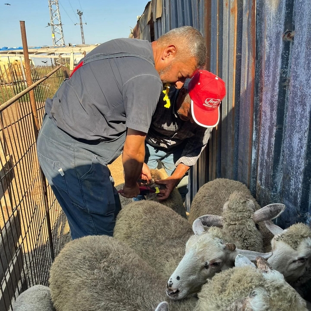 Edirne'den kısa kısa